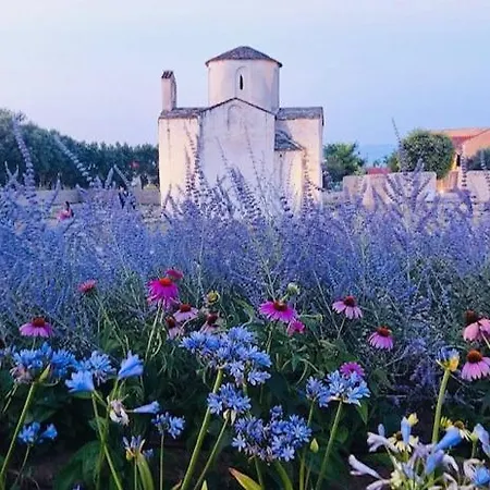 Lucija Privlaka (Zadar)