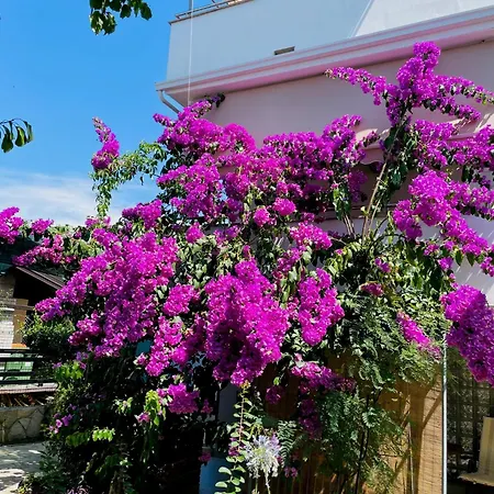 Apartman Lucija *